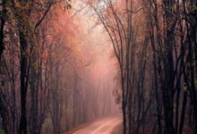 NBA突发意外！欧文左膝反关节受伤，被搀扶离场江南都市报.