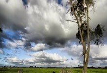 悲喜夜！拜仁3-2升班马，尤文新帅告捷，马竞掉队，皇马逆转鱼腩.